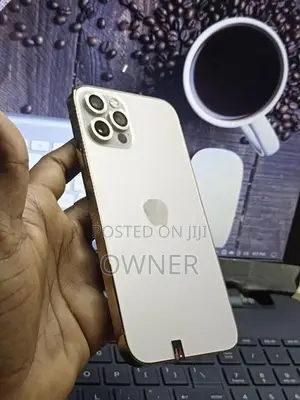 Apple iPhone 12 Pro 256GB (Used)