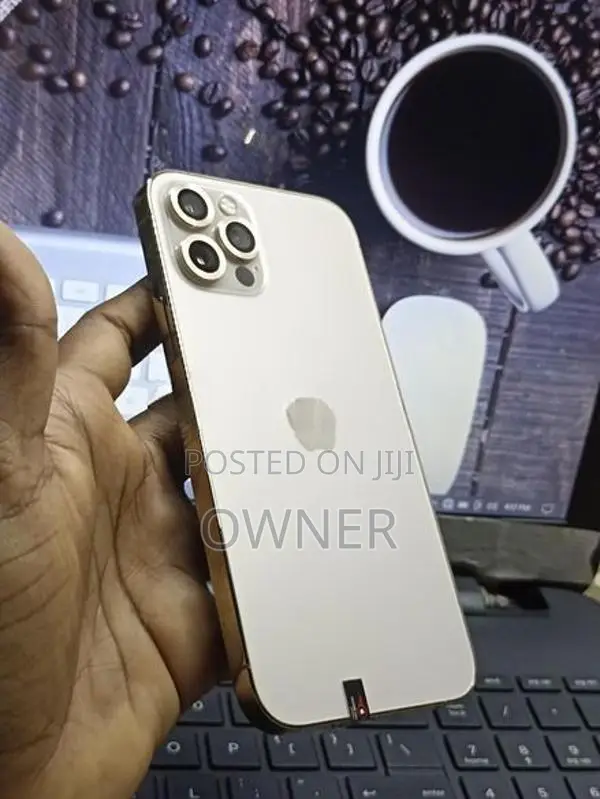 Apple iPhone 12 Pro 256GB (Used)