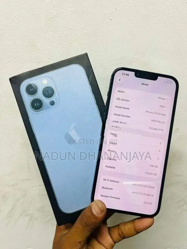 Apple iPhone 13 Pro Max (Used)