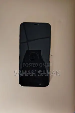 Apple iPhone 12 Pro Max 256gb (Used)