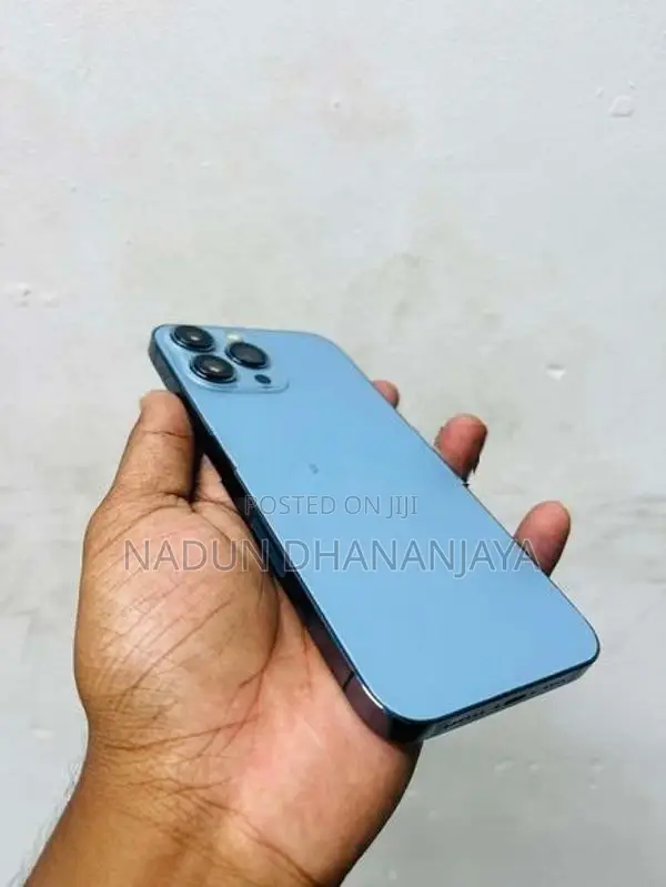 Apple iPhone 13 Pro Max (Used)