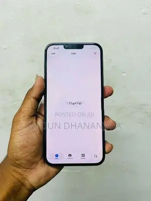 Apple iPhone 13 Pro Max (Used)