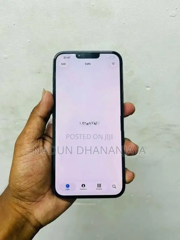 Apple iPhone 13 Pro Max (Used)