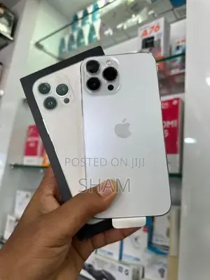 Apple iPhone 13 Pro Max (Used)