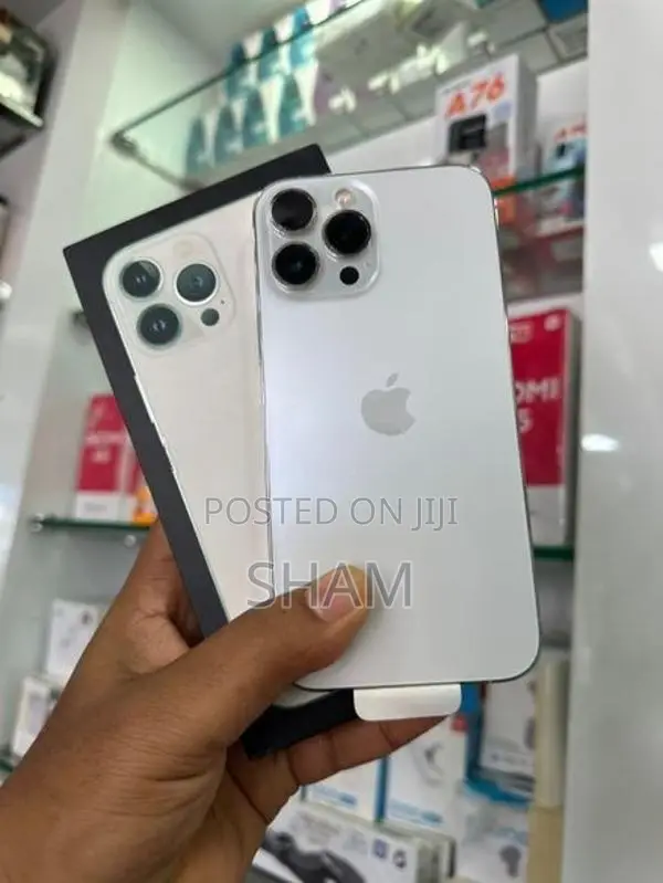 Apple iPhone 13 Pro Max (Used)