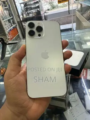 Apple iPhone 13 Pro Max (Used)