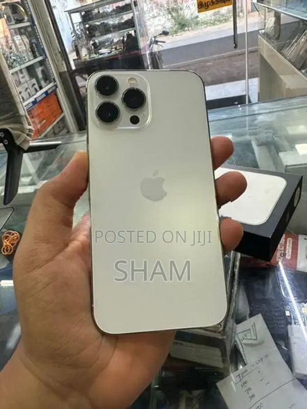 Apple iPhone 13 Pro Max (Used)