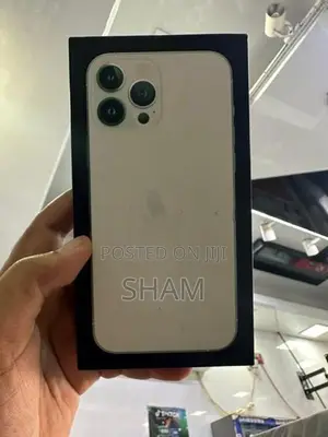 Apple iPhone 13 Pro Max (Used)