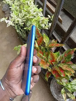 Samsung Galaxy A12 (Used)