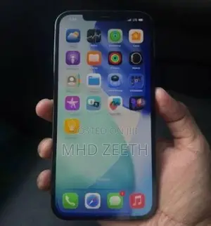 Apple iPhone 12 Pro Max (Used)