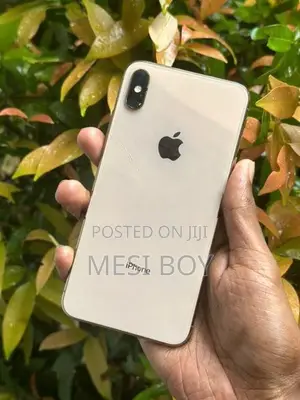 Apple iPhone XS Max (Used)