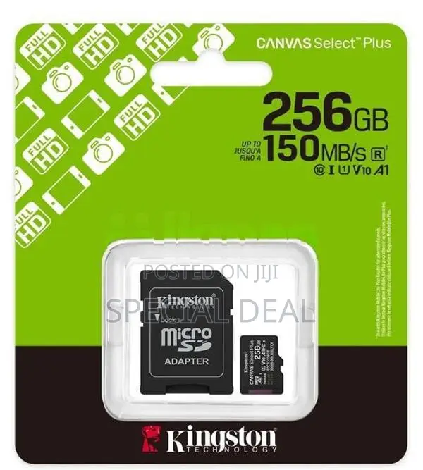 256GB Micro SD