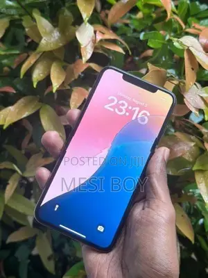 Apple iPhone XS Max (Used)