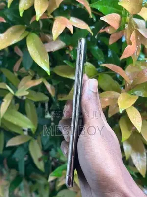 Apple iPhone XS Max (Used)