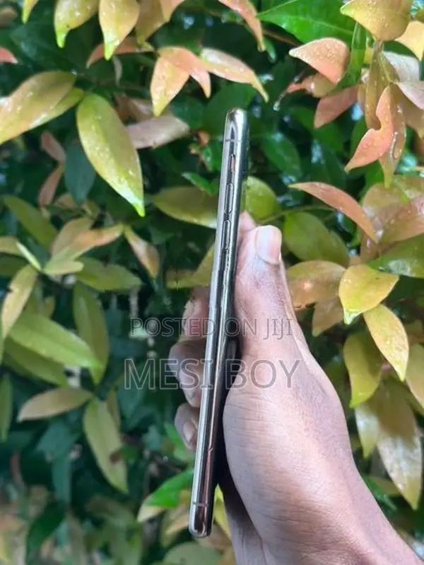 Apple iPhone XS Max (Used)