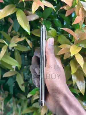 Apple iPhone XS Max (Used)