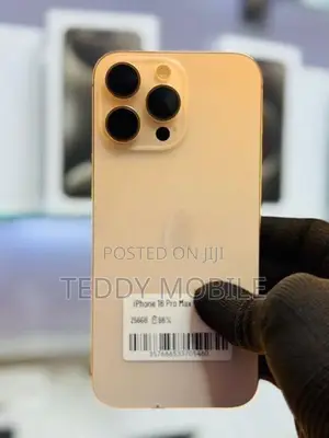 Apple iPhone 16 Pro Max 256GB (Used)