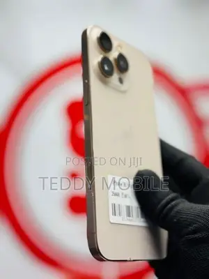 Apple iPhone 16 Pro Max 256GB (Used)