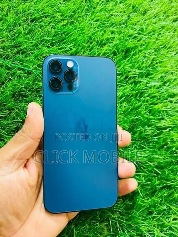 Apple iPhone 12 Pro (Used)