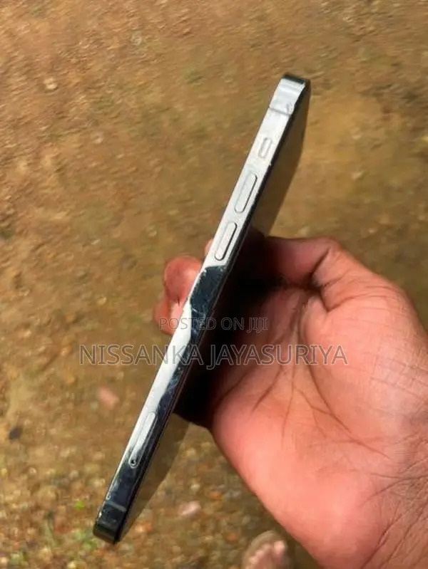 Apple iPhone 12 Pro Max (Used)