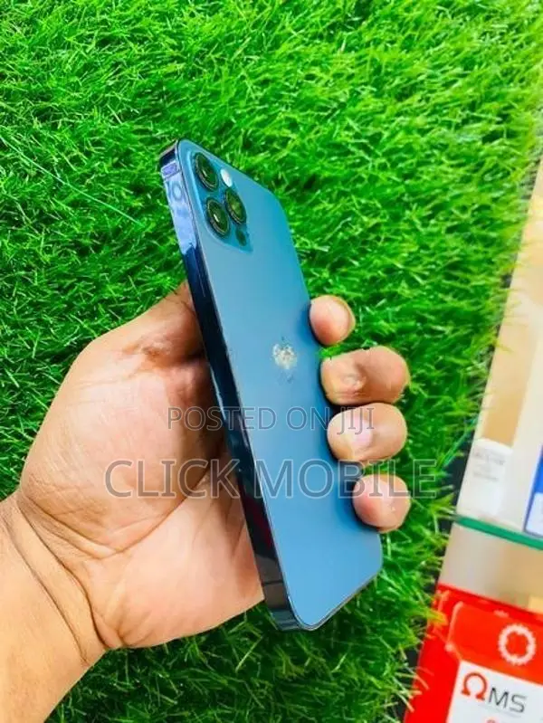 Apple iPhone 12 Pro (Used)