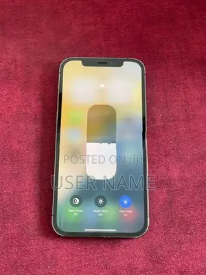 Apple iPhone 12 Pro (Used)