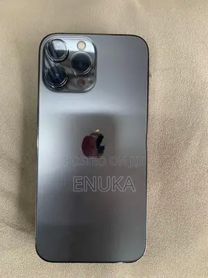 Apple iPhone 13 Pro Max (Used)