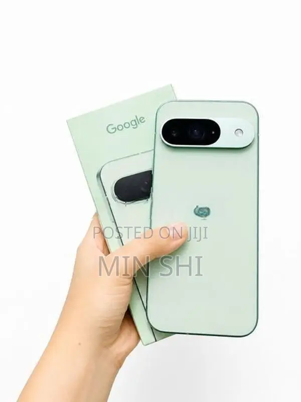 Google Pixel 9 (Used)
