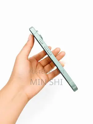 Google Pixel 9 (Used)