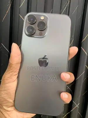 Apple iPhone 13 Pro Max (Used)