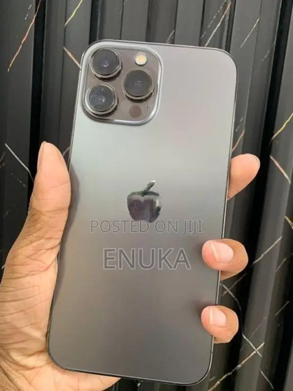 Apple iPhone 13 Pro Max (Used)