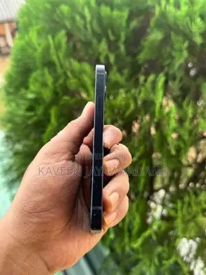 Apple iPhone 12 mini (Used)