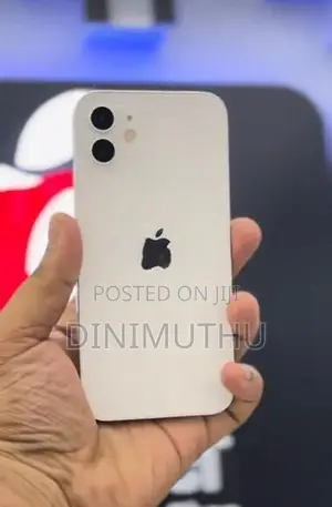 Apple iPhone 12 (Used)