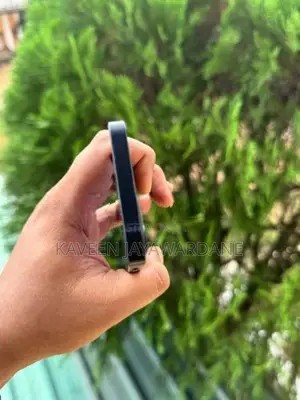 Apple iPhone 12 mini (Used)