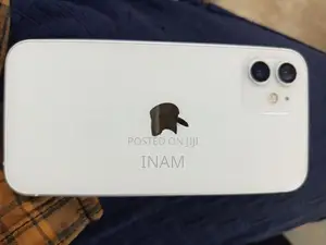 Apple iPhone 12 (Used)