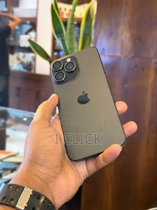 Apple iPhone 15 Pro Max 256GB (Used)