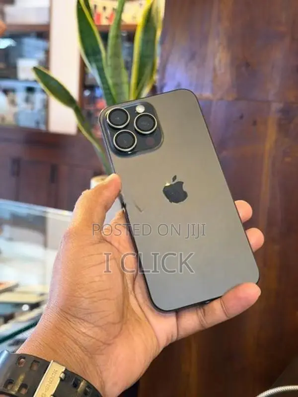 Apple iPhone 15 Pro Max 256GB (Used)