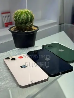 Apple iPhone 13 (Used)
