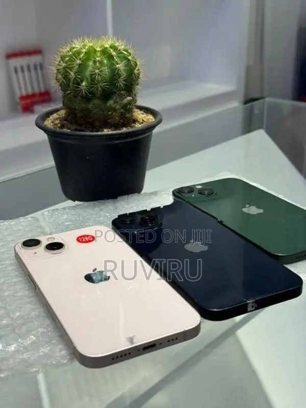 Apple iPhone 13 (Used)