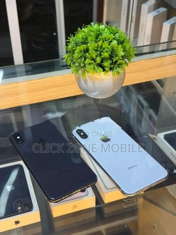 Apple iPhone X 256GB (Used)