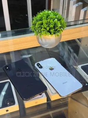 Apple iPhone X 256GB (Used)