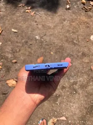 LeBest L2 Blue (Used)