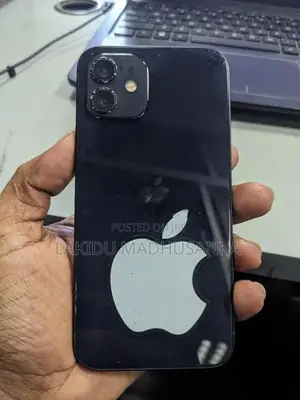 Apple iPhone 12 (Used)