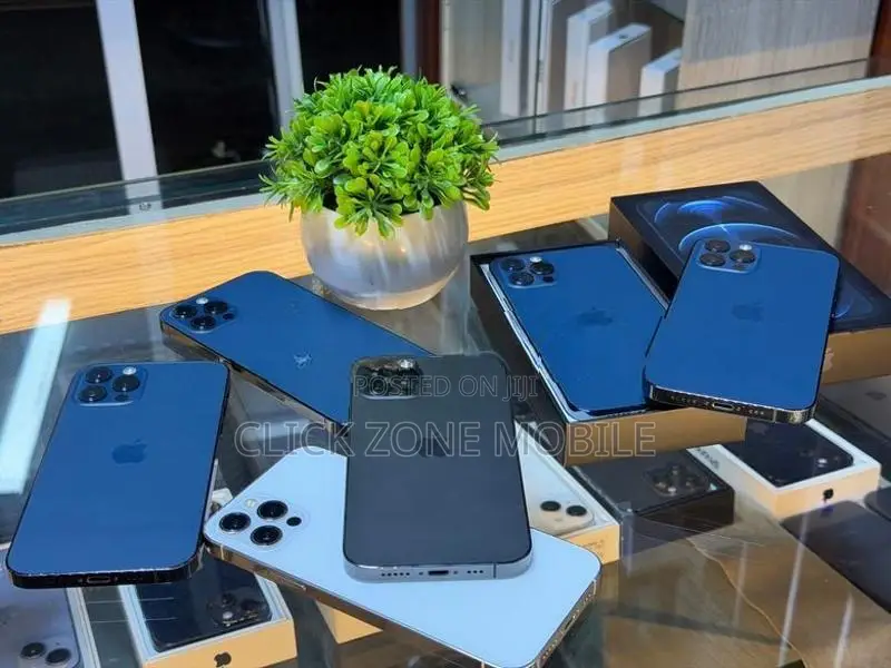 Apple iPhone 12 Pro 256GB (Used)
