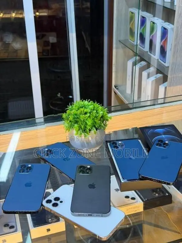 Apple iPhone 12 Pro 256GB (Used)