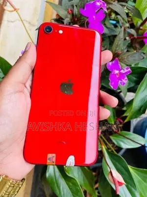Apple iPhone SE 3 (Used)