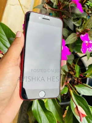 Apple iPhone SE 3 (Used)
