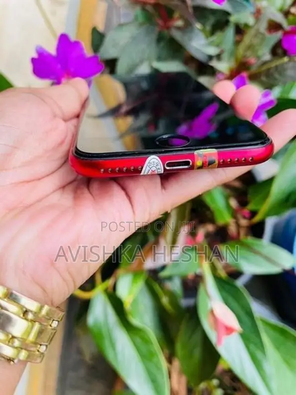 Apple iPhone SE 3 (Used)