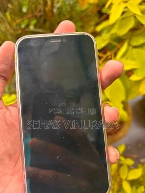 Apple iPhone 12 mini (Used)