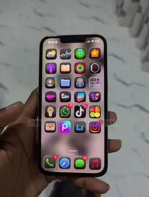 Apple iPhone 13 Pro 256GB (Used)